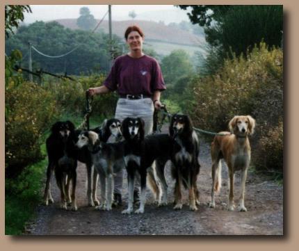 Saluki group